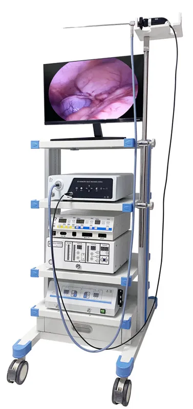 Endoscopy System