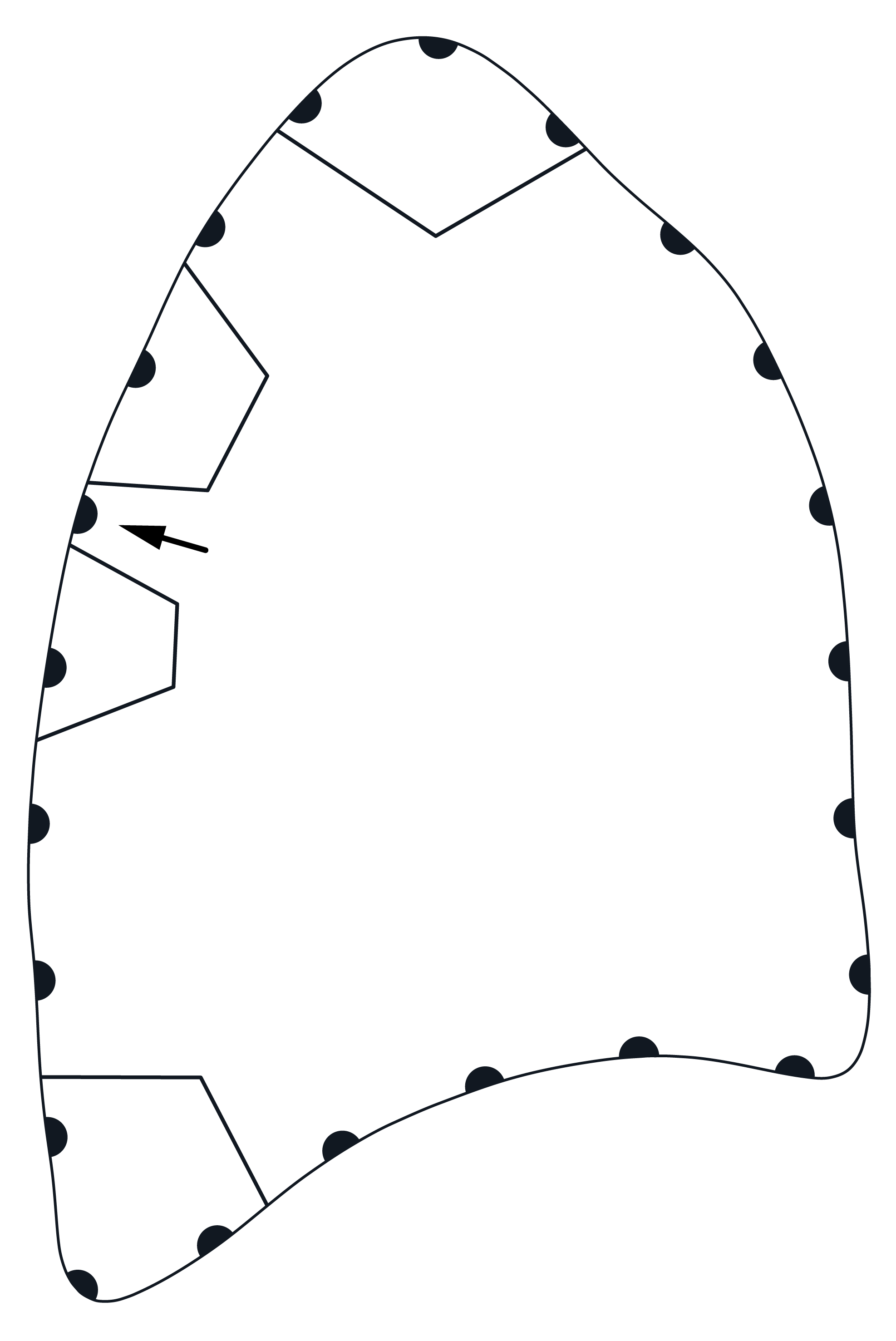 version 1.2