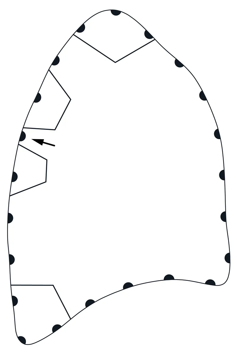 version 1.2